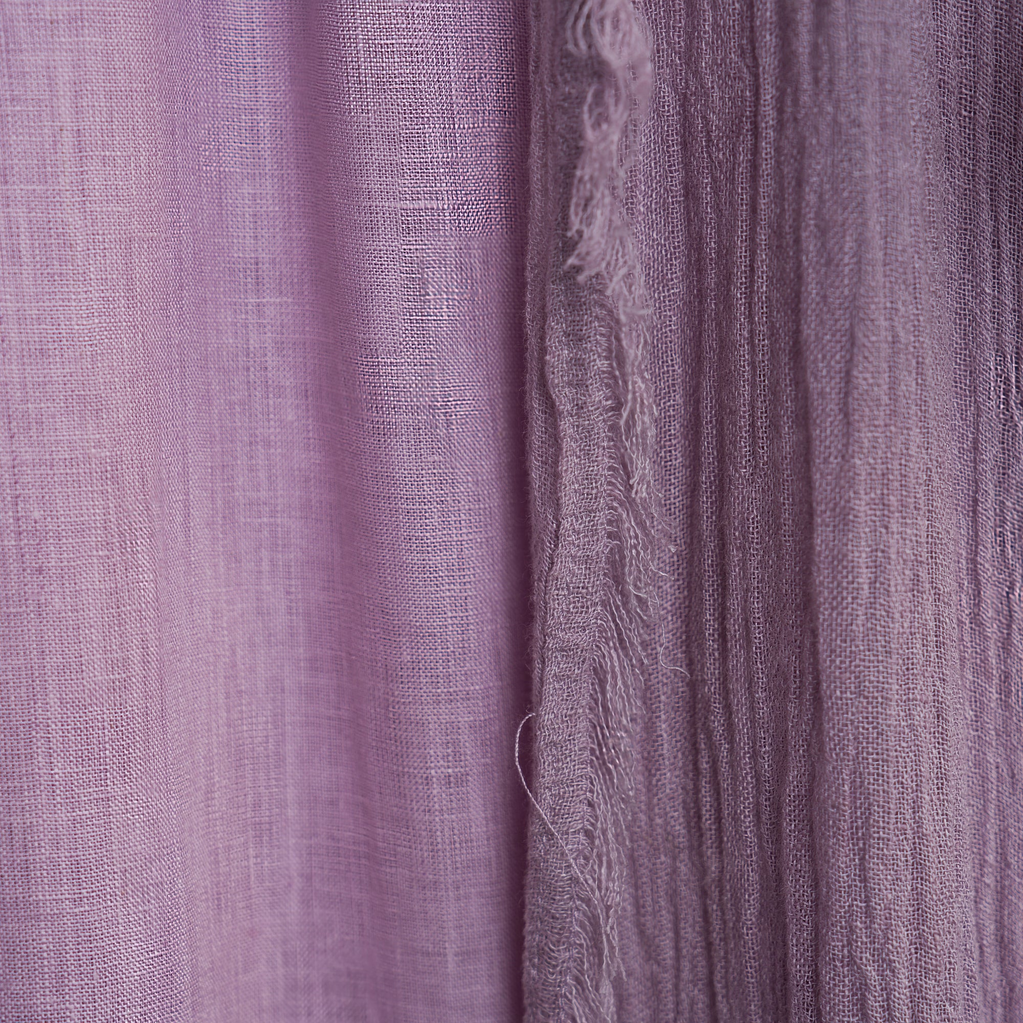 Tabua - Lilac